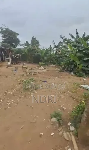 600m2 Avec ACD a Vendre Angre Djorobité