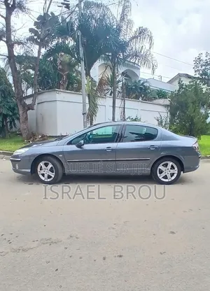 Peugeot 407 2.0 Esplanade 2005 Gris
