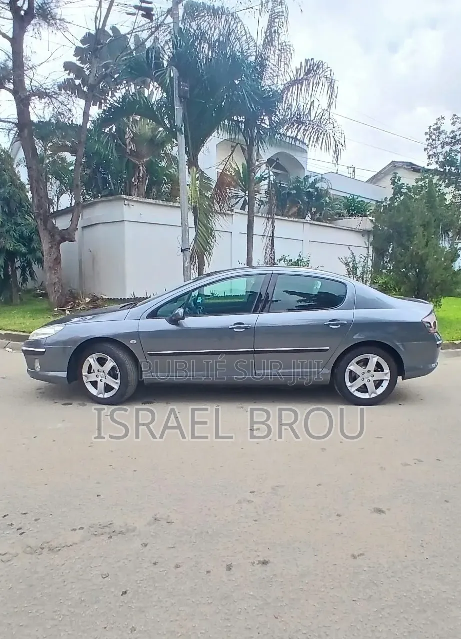 Peugeot 407 2.0 Esplanade 2005 Gris