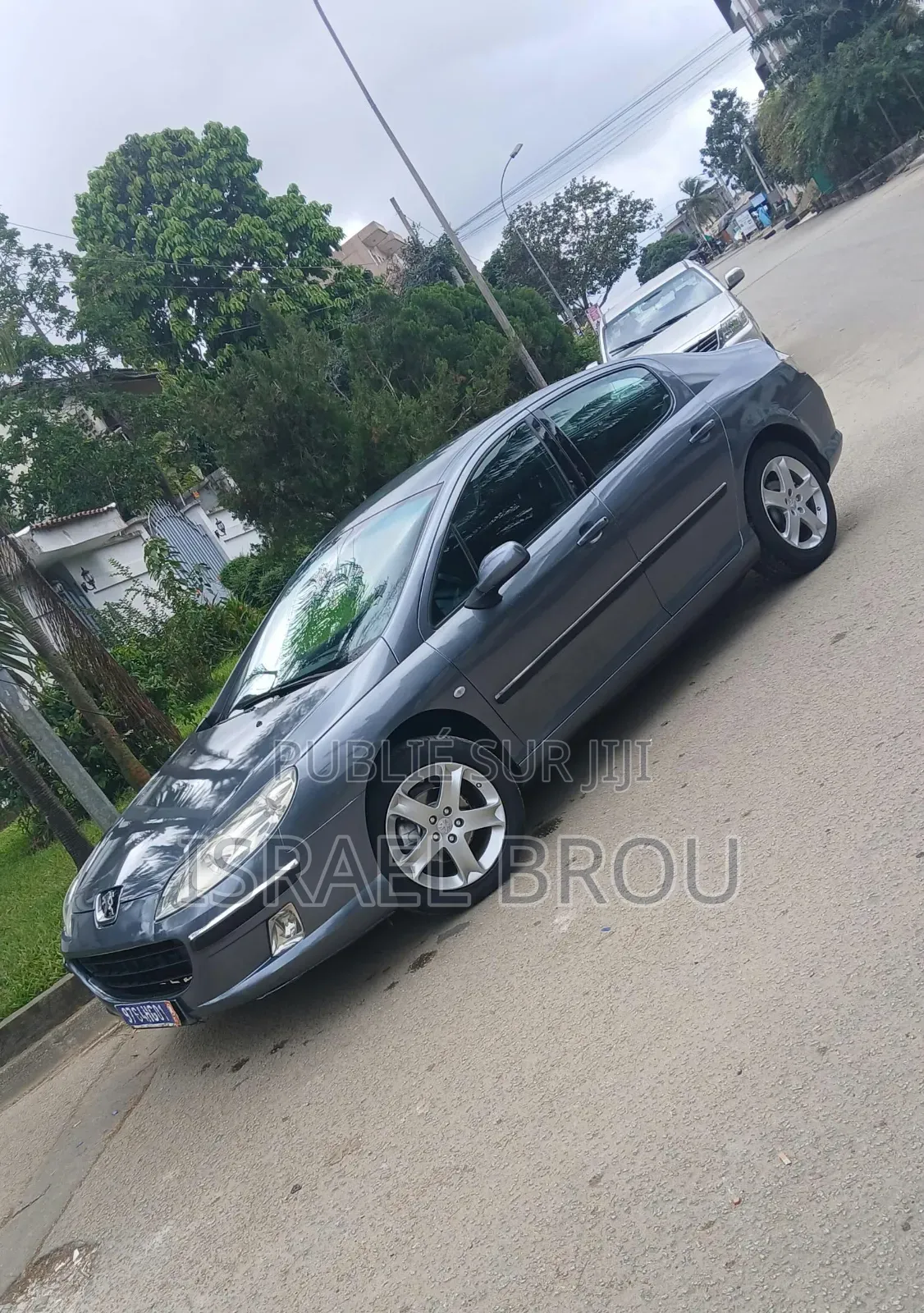 Peugeot 407 2.0 Esplanade 2005 Gris