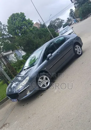 Peugeot 407 2.0 Esplanade 2005 Gris
