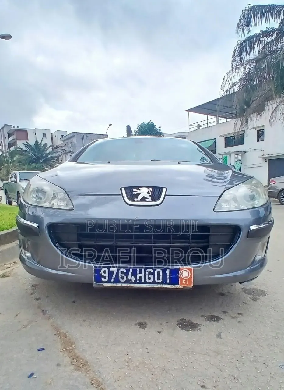 Peugeot 407 2.0 Esplanade 2005 Gris