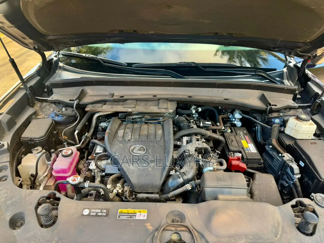 Lexus TX TX 350 AWD 2024 Noir