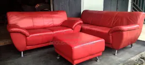 Salon Rouge en Cuir
