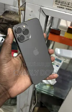 Pomme iPhone 13 Pro Max 128 GB Graphite