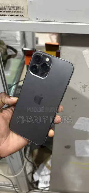 Pomme iPhone 13 Pro Max 128 GB Graphite