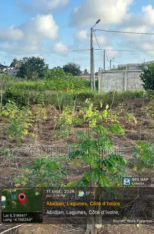Songon À Vendre Sous Préfecture Terrain Avec ACD À Vendre