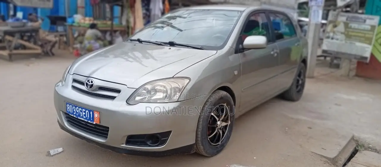 Toyota Corolla 2004 Gris