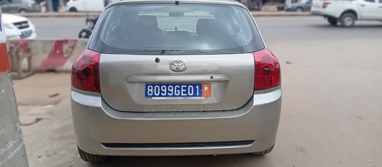 Toyota Corolla 2004 Gris