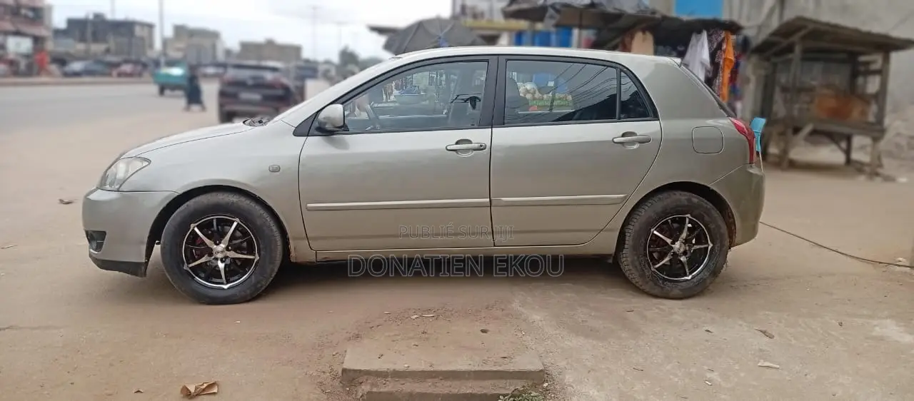 Toyota Corolla 2004 Gris