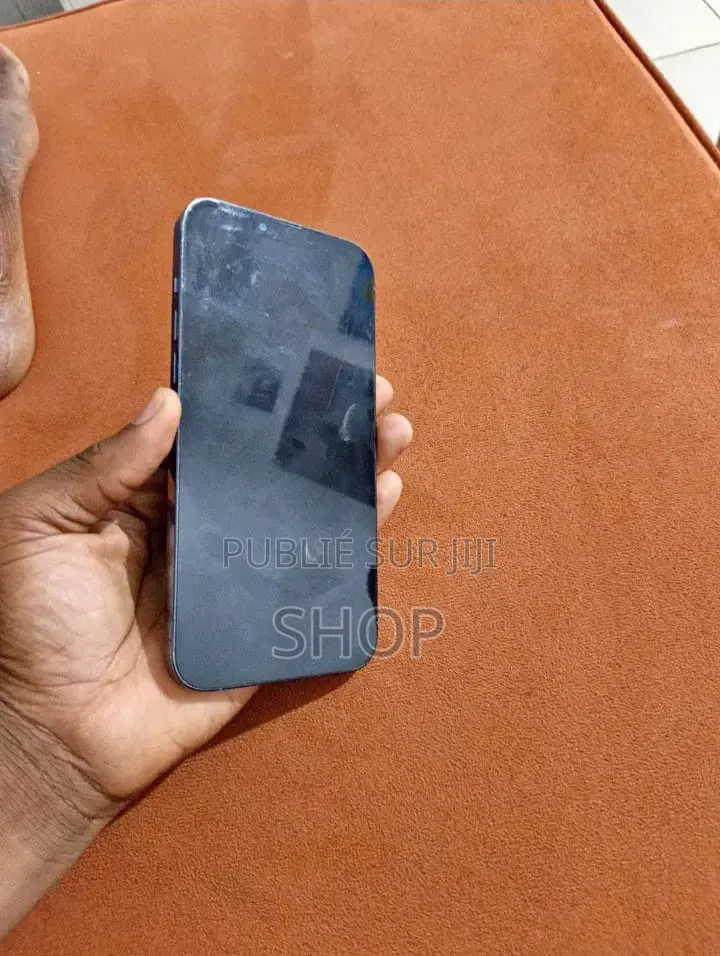 Pomme iPhone 13 Pro Max 256 GB Bleu