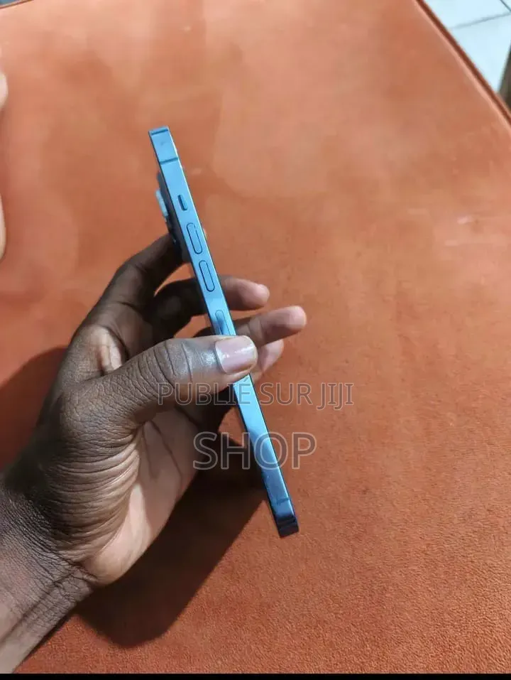 Pomme iPhone 13 Pro Max 256 GB Bleu
