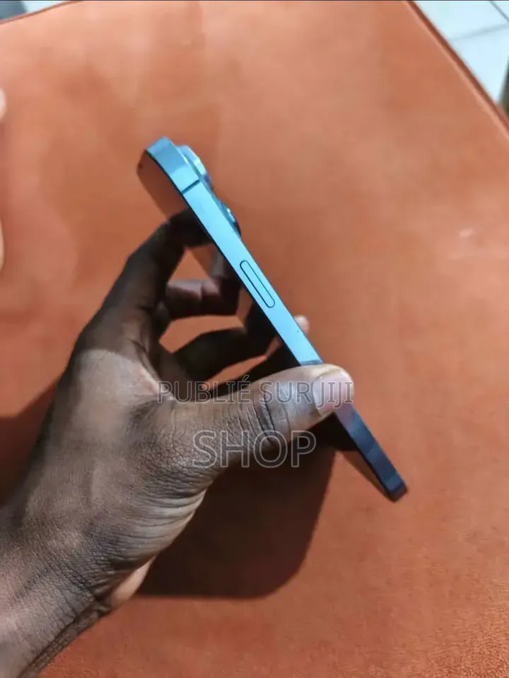 Pomme iPhone 13 Pro Max 256 GB Bleu