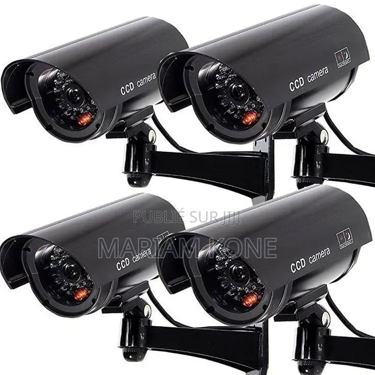 Camera De Surveillance