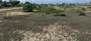 Terrain Pour À Assouindé