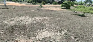 Terrain Pour À Assouindé