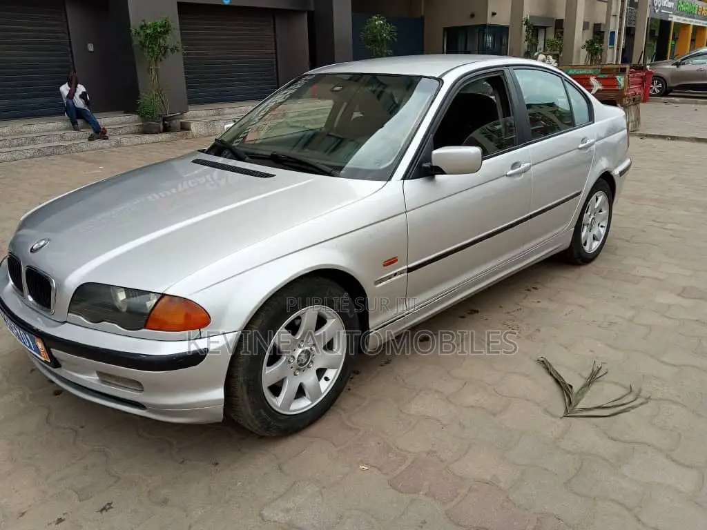 BMW 318i 2003 Gris