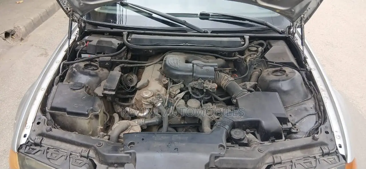 BMW 318i 2003 Gris