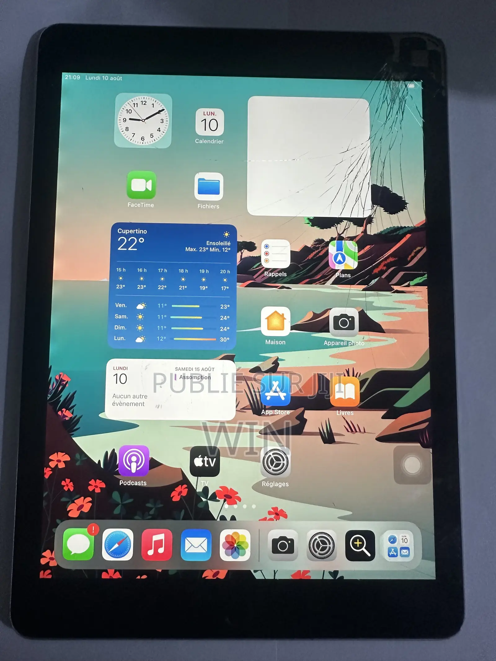 Pomme iPad Air 2 16 GB Gris