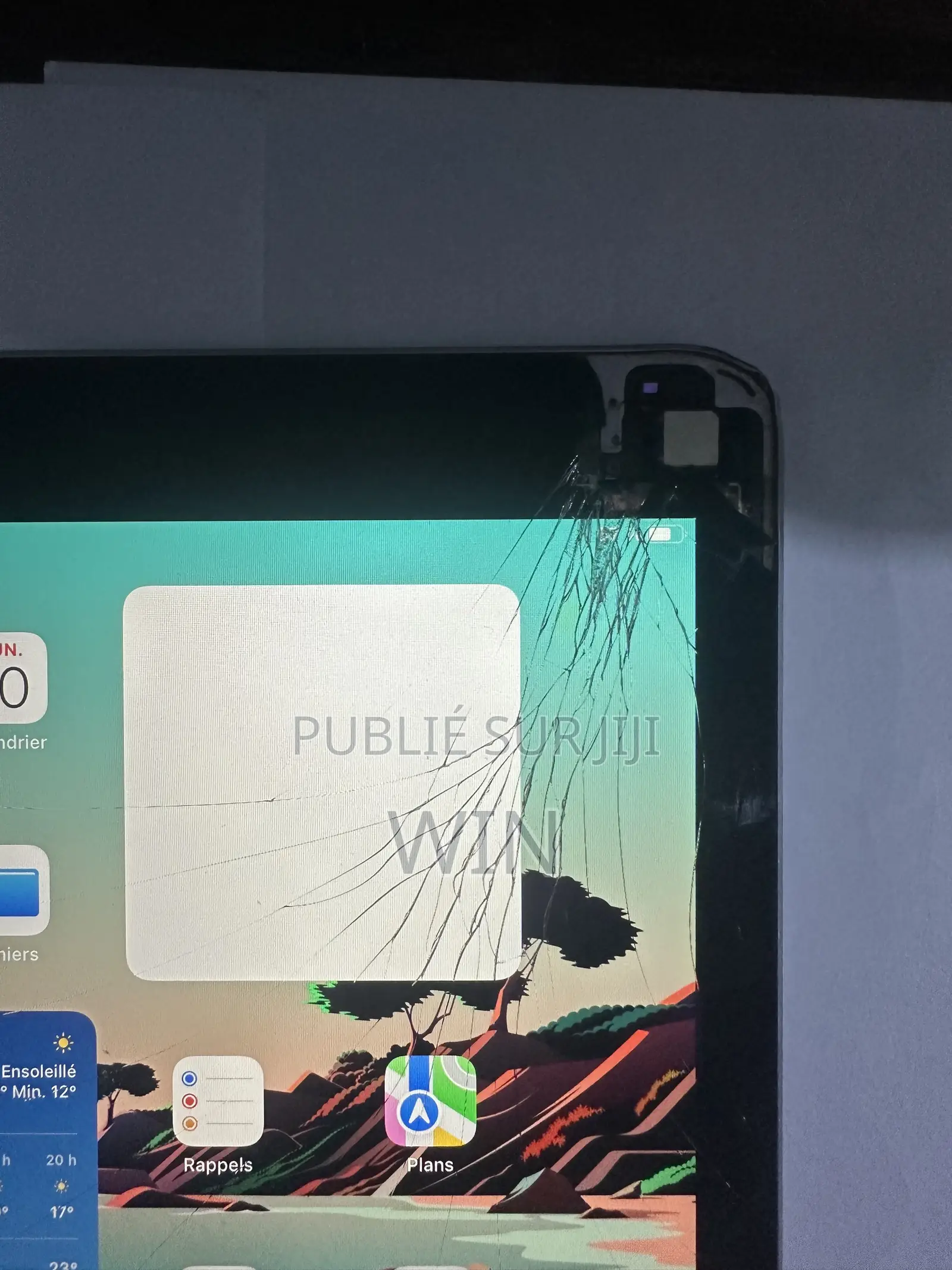 Pomme iPad Air 2 16 GB Gris