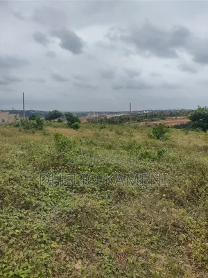 Opportunités Foncier À Songon Kassamblé