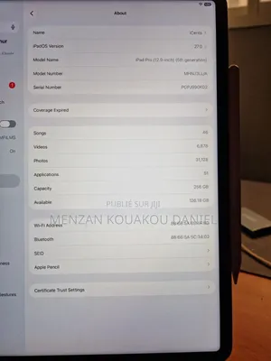 Pomme iPad Pro 256 GB Gris