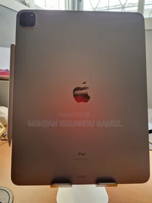Pomme iPad Pro 256 GB Gris
