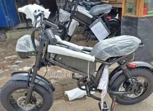 Vélo Électrique
