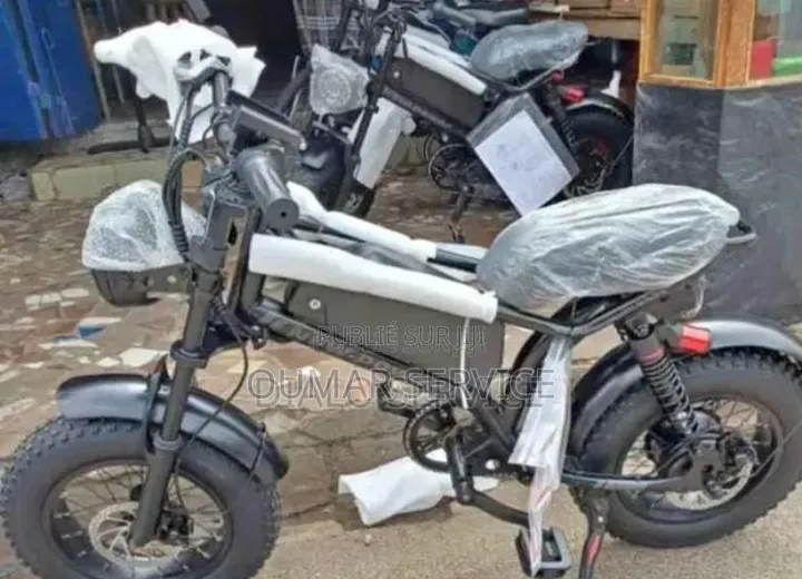 Vélo Électrique