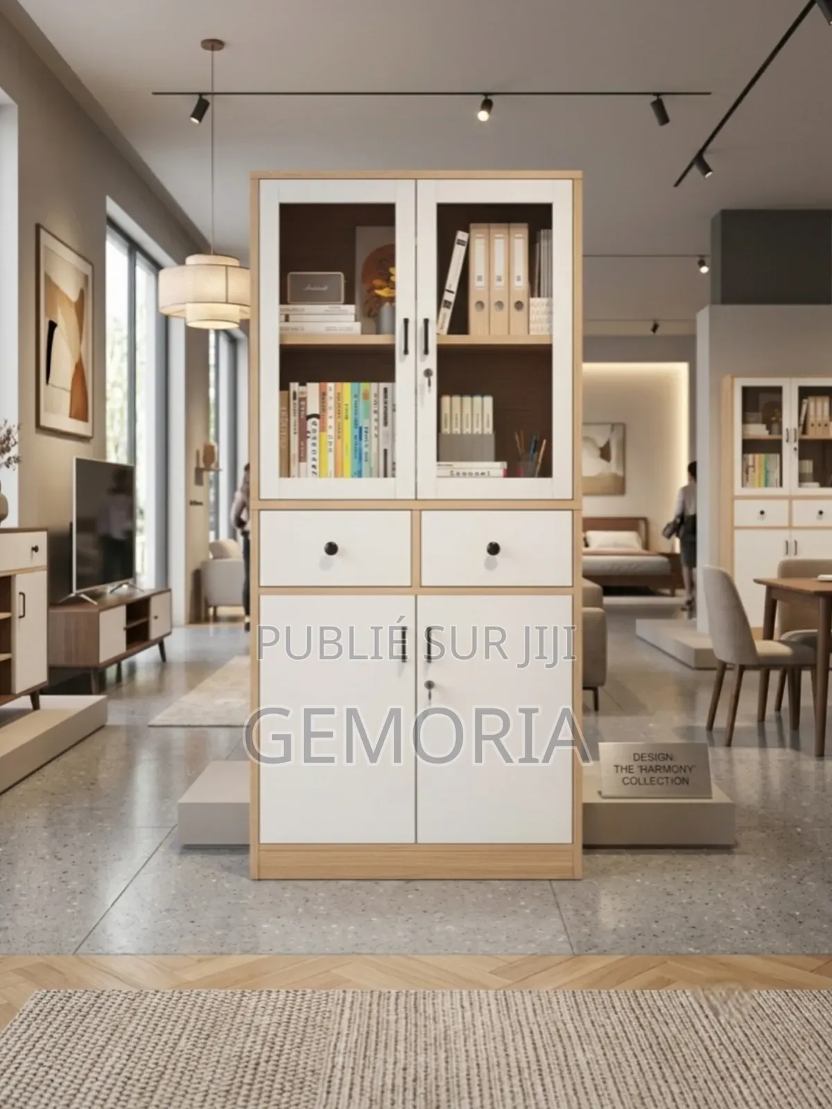 Armoire Bibliothèque Vitrine Sécurisée Bimatière