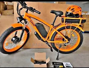 Vélo Électrique