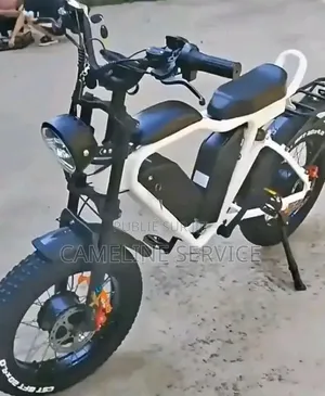 Vélo Électrique