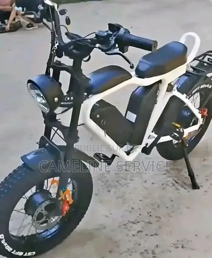 Vélo Électrique