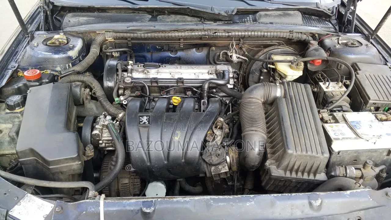 Peugeot 406 2024 Bleu