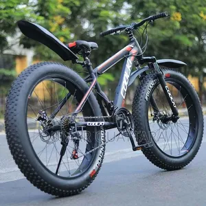 Vélo Électrique