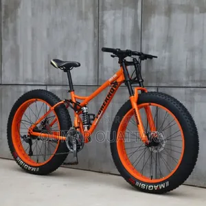 Vélo Électrique