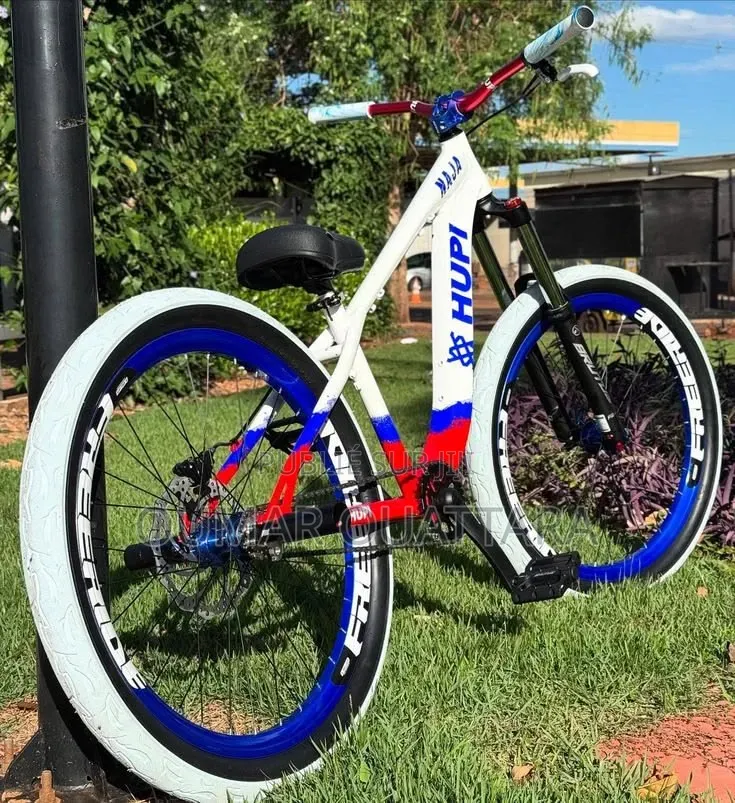 Vélo Électrique