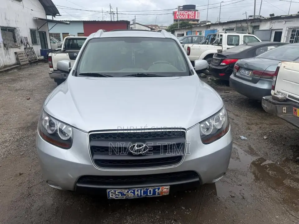 Hyundai Santa Fe 2008 Gris