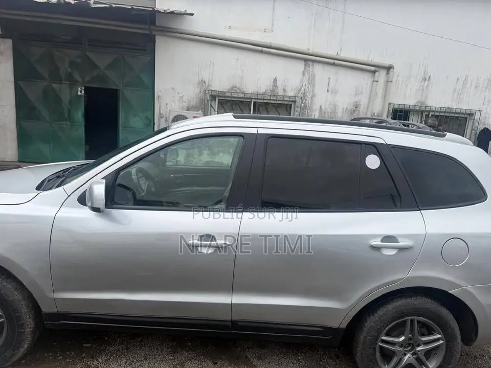 Hyundai Santa Fe 2008 Gris