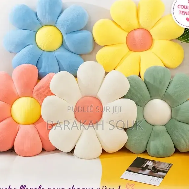 Coussins Décoratifs
