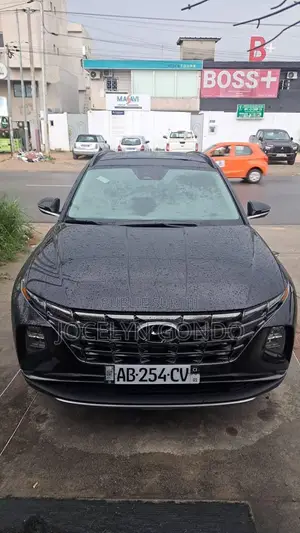 Hyundai Tucson 2024 Rouge