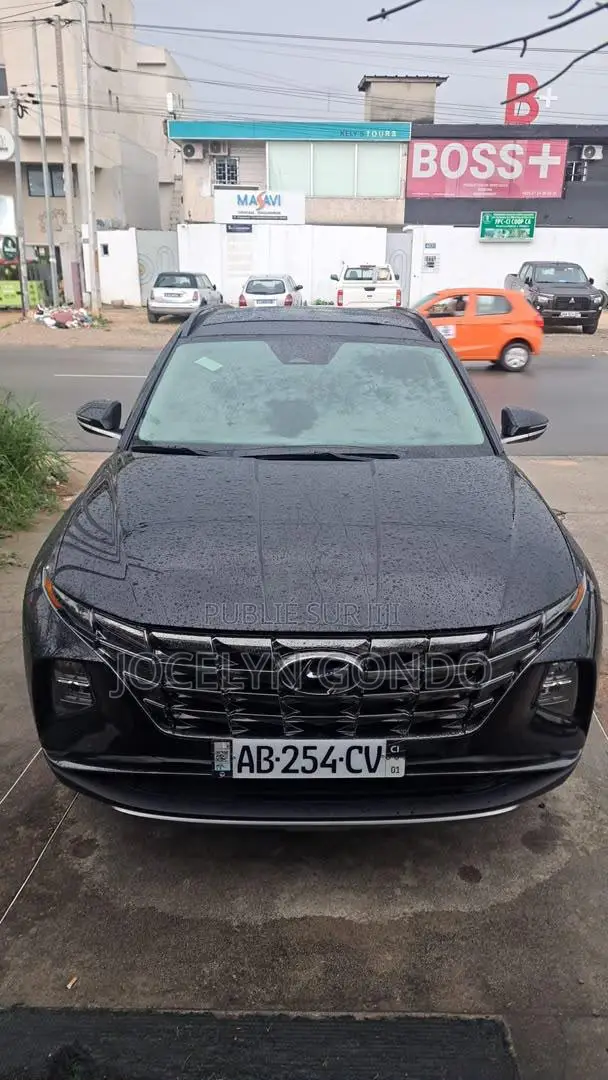 Hyundai Tucson 2024 Rouge