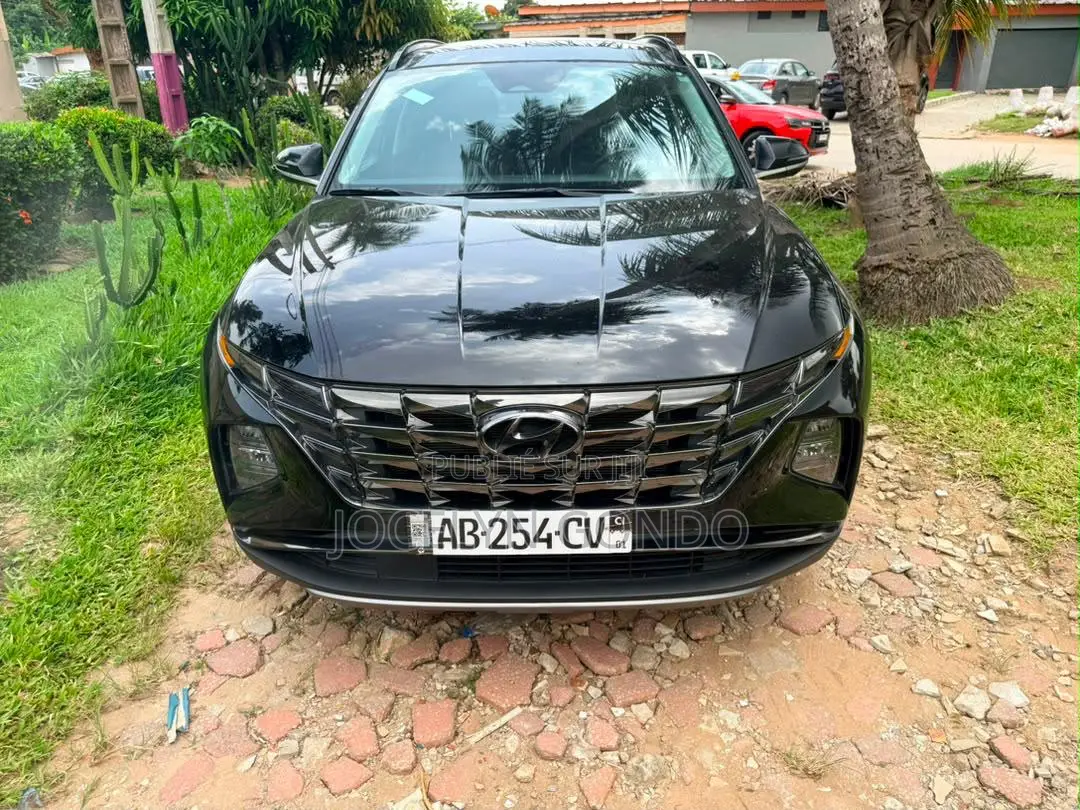 Hyundai Tucson 2024 Rouge