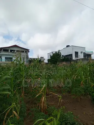 Vente De Terrain À Bingerville. Immeuble
