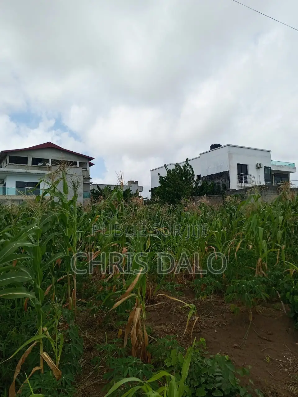 Vente De Terrain À Bingerville. Immeuble