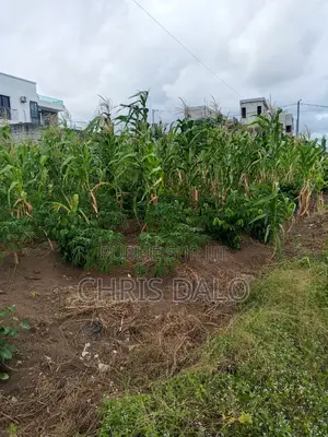 Vente De Terrain À Bingerville. Immeuble