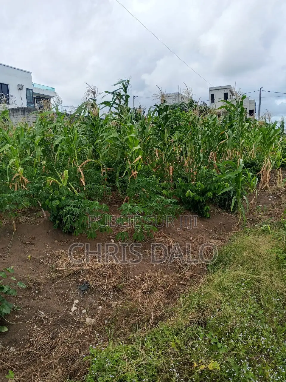 Vente De Terrain À Bingerville. Immeuble
