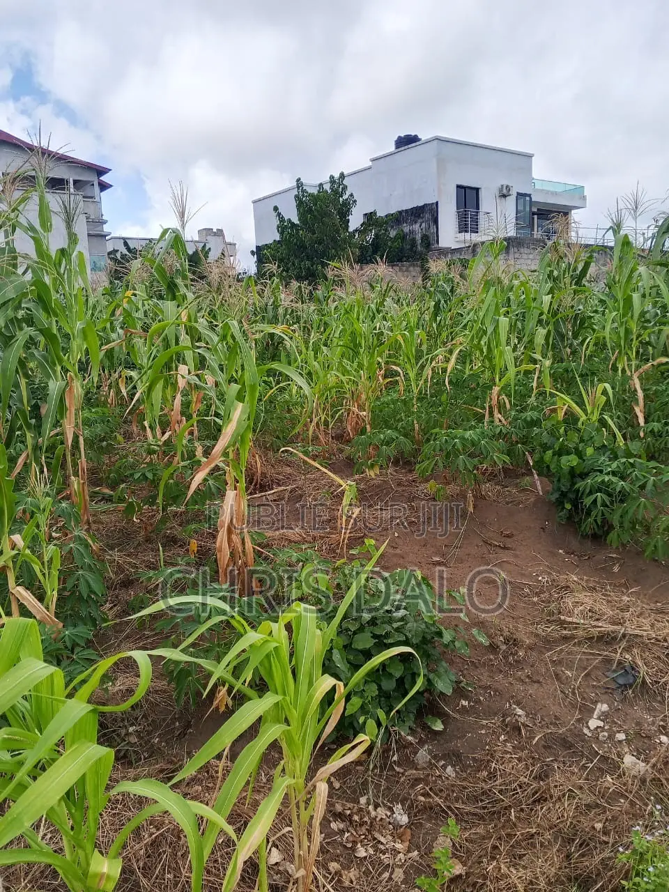Vente De Terrain À Bingerville. Immeuble
