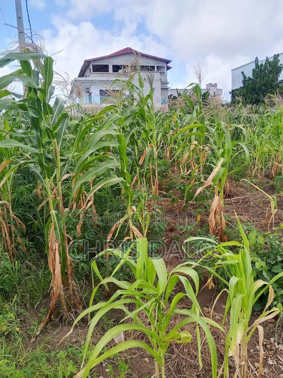 Vente De Terrain À Bingerville. Immeuble