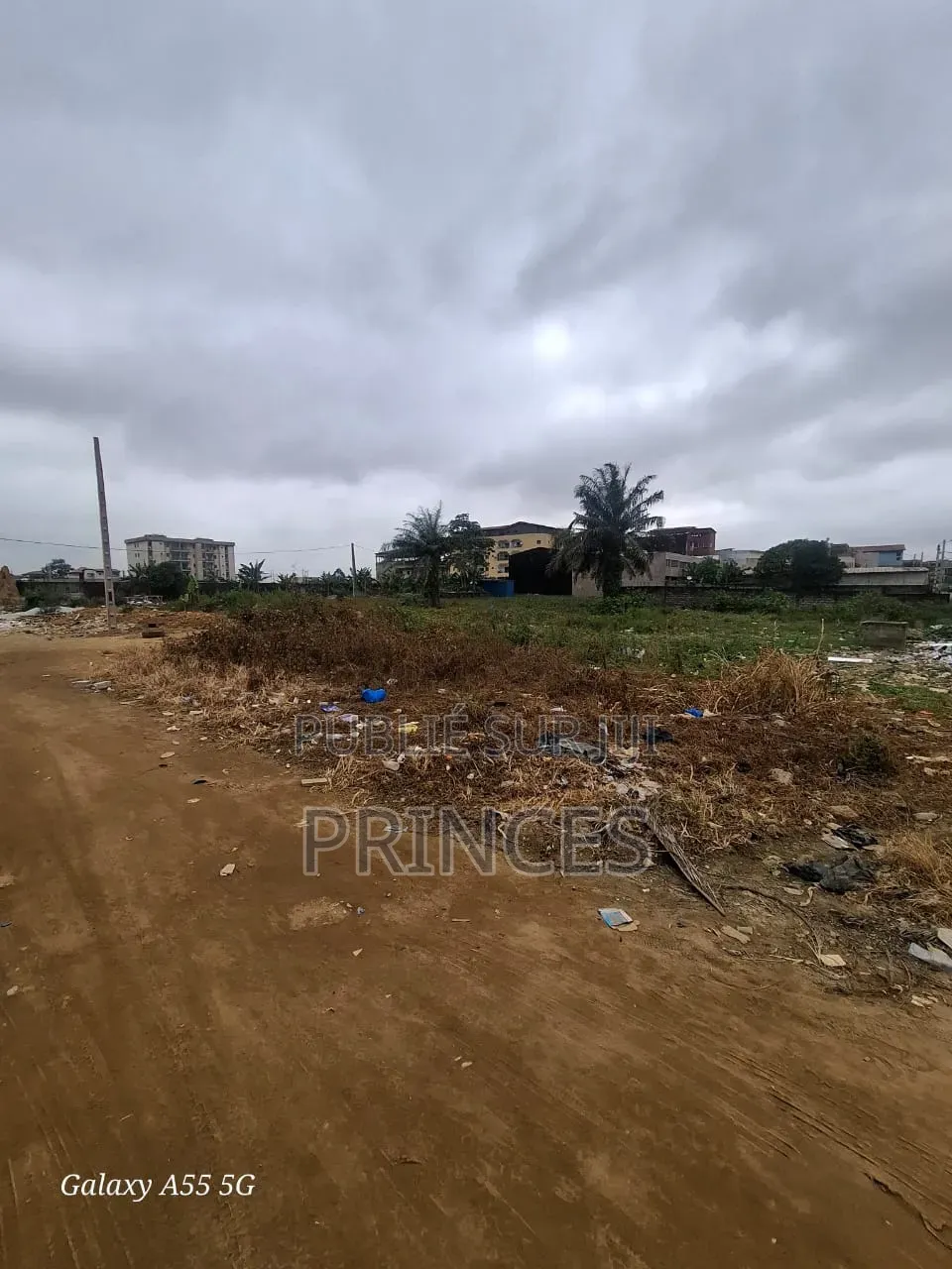 Prince Immobilier